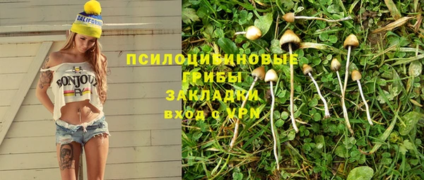 соль ск Осинники