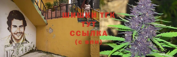 твердый Новодвинск
