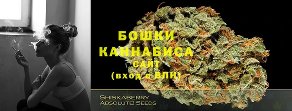 соль ск Осинники