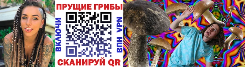 Псилоцибиновые грибы Cubensis  Купить  Кондопога 
